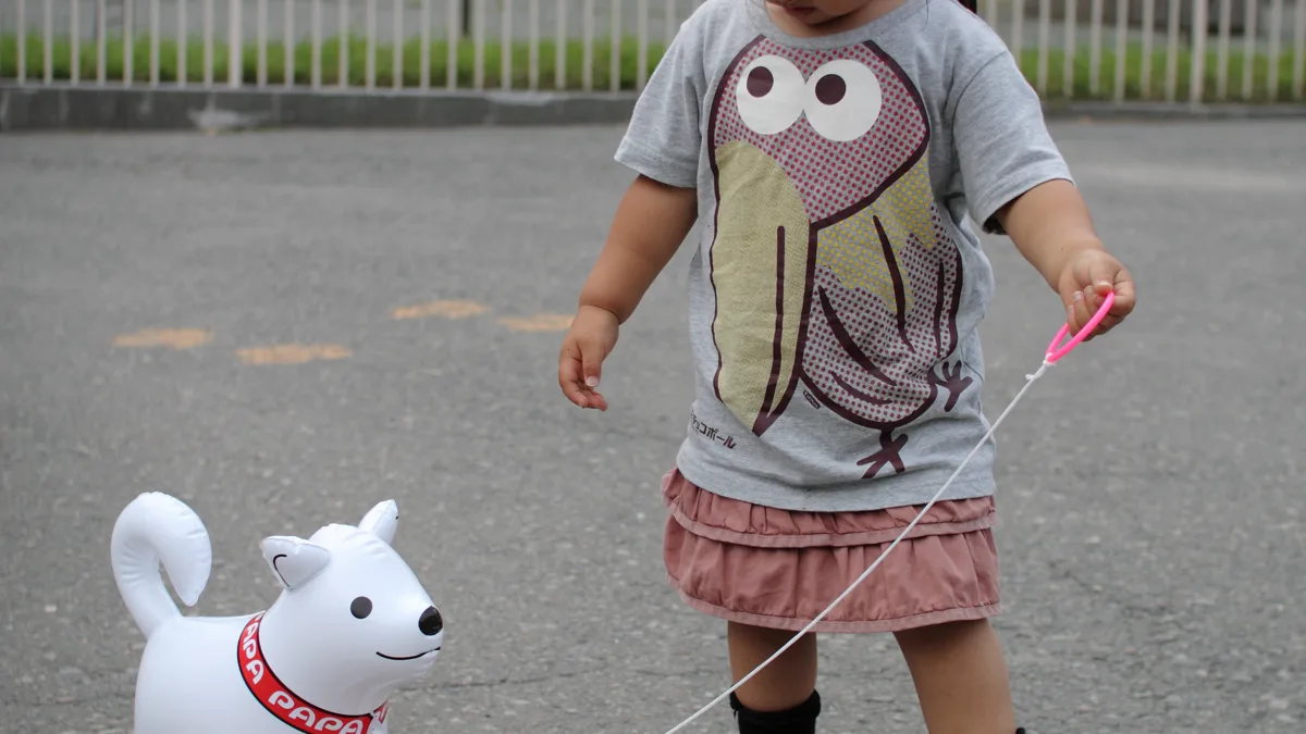 A handler walking a dog with proper hydration and surface awareness