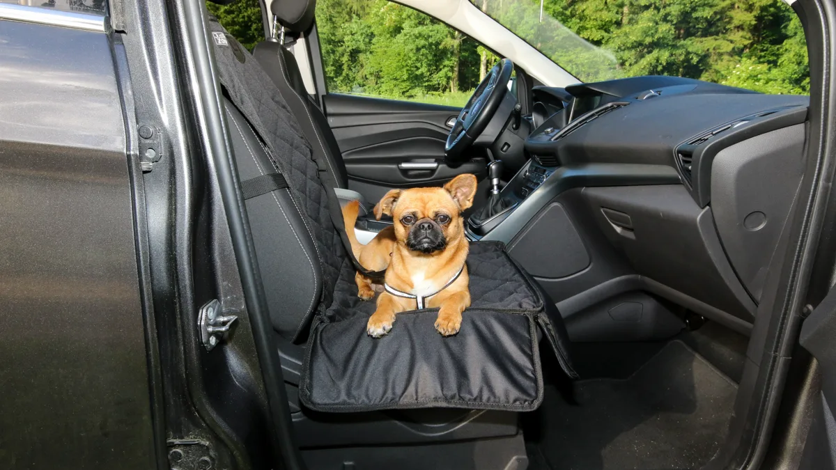 Dog Seated in Vehicle Front Passenger Seat A dog resting on the passenger seat inside a motor vehicle cabin