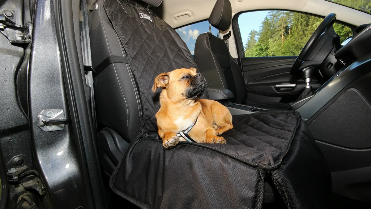 A dog wearing an ergonomic vehicle travel safety harness