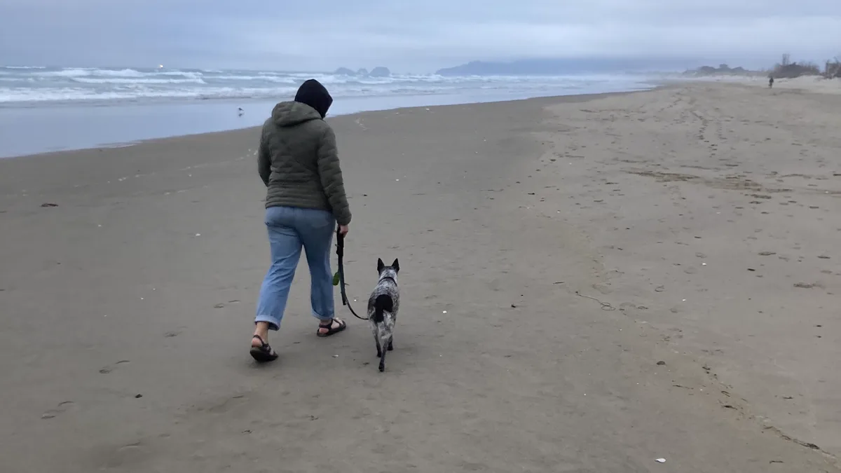 Handler and Dog Walking on Scenic Ocean Coastline Beach A handler and dog walking along a scenic ocean coastline beach