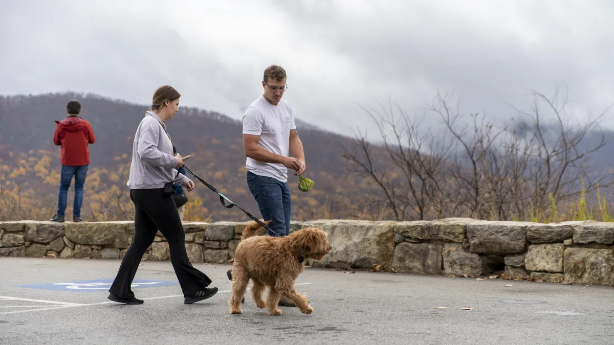 Visitors Hiking with Leashed Dog Along Mountain Trail in National Park Visitors hiking with a leashed dog along an open mountain trail in Shenandoah National Park