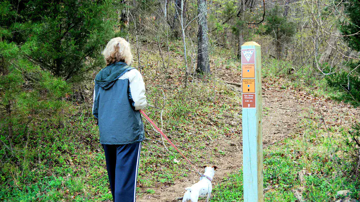 Canine on Leash Walking on Wooded Path with Trail Gear A canine on a six-foot leash walking through a wooded path with essential dog hiking gear