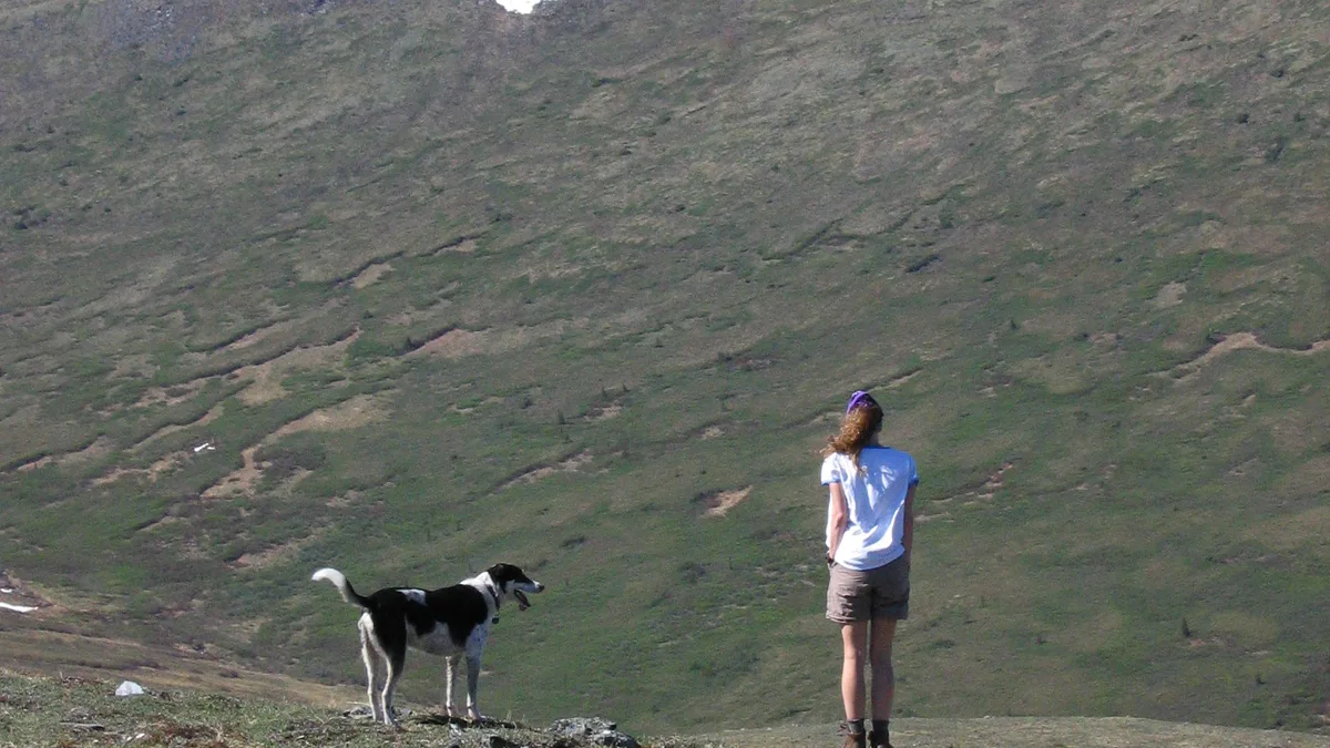 A hiker and dog hiking across a scenic wilderness trail observing etiquette