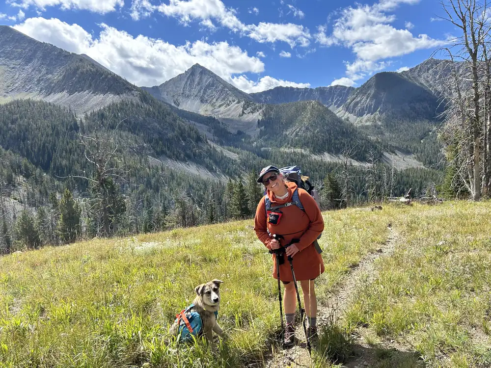 Hiker and a leashed dog with a pack on a mountain trail in Custer Gallatin National Forest