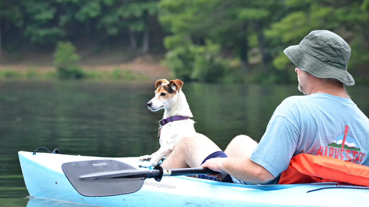 Kayaking with Dog: Beginner Guide, Gear, and River Safety